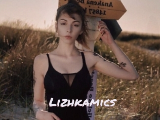 Lizhkamics