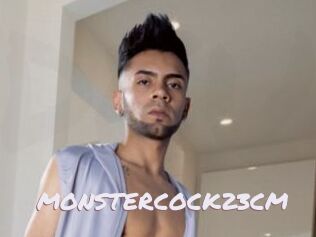 MONSTERCOCK23CM