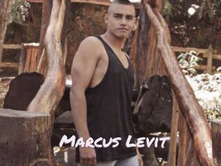 Marcus_Levit