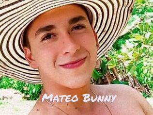 Mateo_Bunny