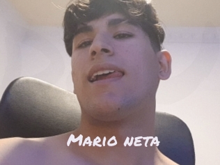 Mario_neta