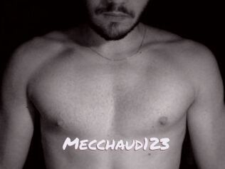 Mecchaud123