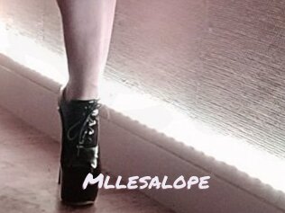 Mllesalope