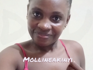 Mollineakinyi