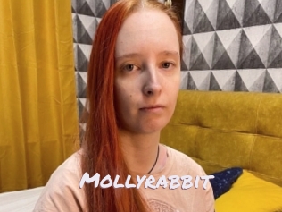 Mollyrabbit