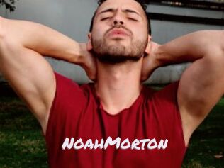 NoahMorton