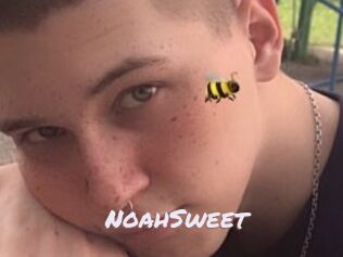 NoahSweet