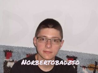 Norbertobadzso