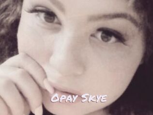 Opay_Skye