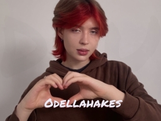 Odellahakes