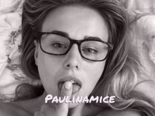 Paulinamice