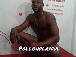 Pollonplayful