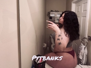 Pytbanks