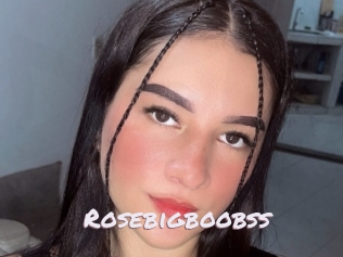 Rosebigboobss