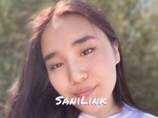 SaniLink