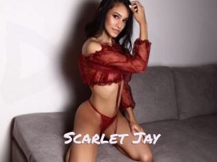 Scarlet_Jay