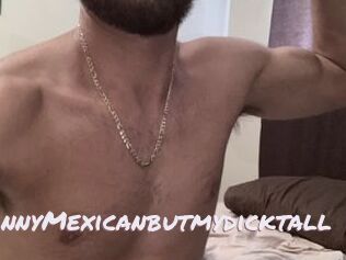 SkinnyMexicanbutmydicktall