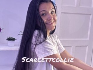 Scarlettcollie