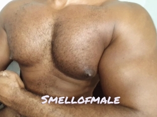 Smellofmale