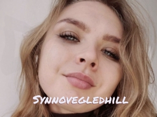 Synnovegledhill