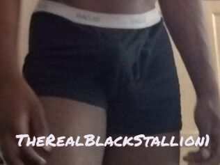 TheRealBlackStallion1