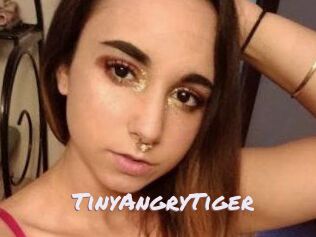 TinyAngryTiger