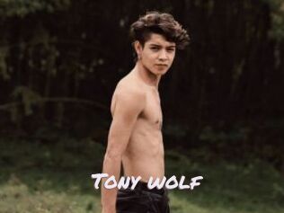 Tony_wolf