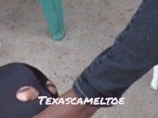 Texascameltoe