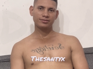 Thesantyx