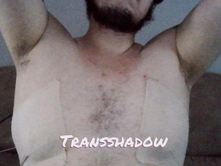 Transshadow