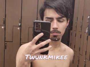 Twunkmikee