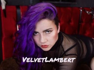 VelvetLambert