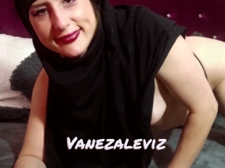 Vanezaleviz