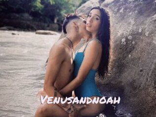 Venusandnoah