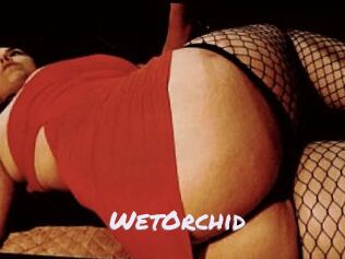 WetOrchid