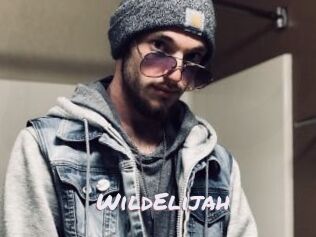 WildElijah