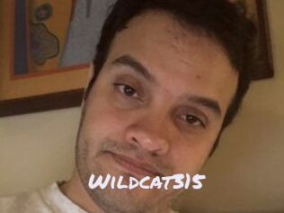 Wildcat315