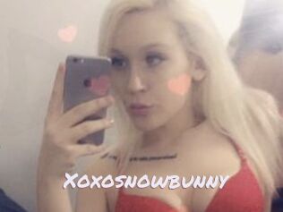 Xoxosnowbunny