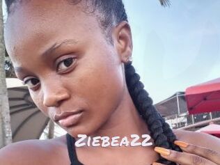Ziebea22