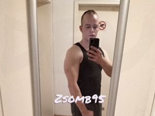 Zsomb95